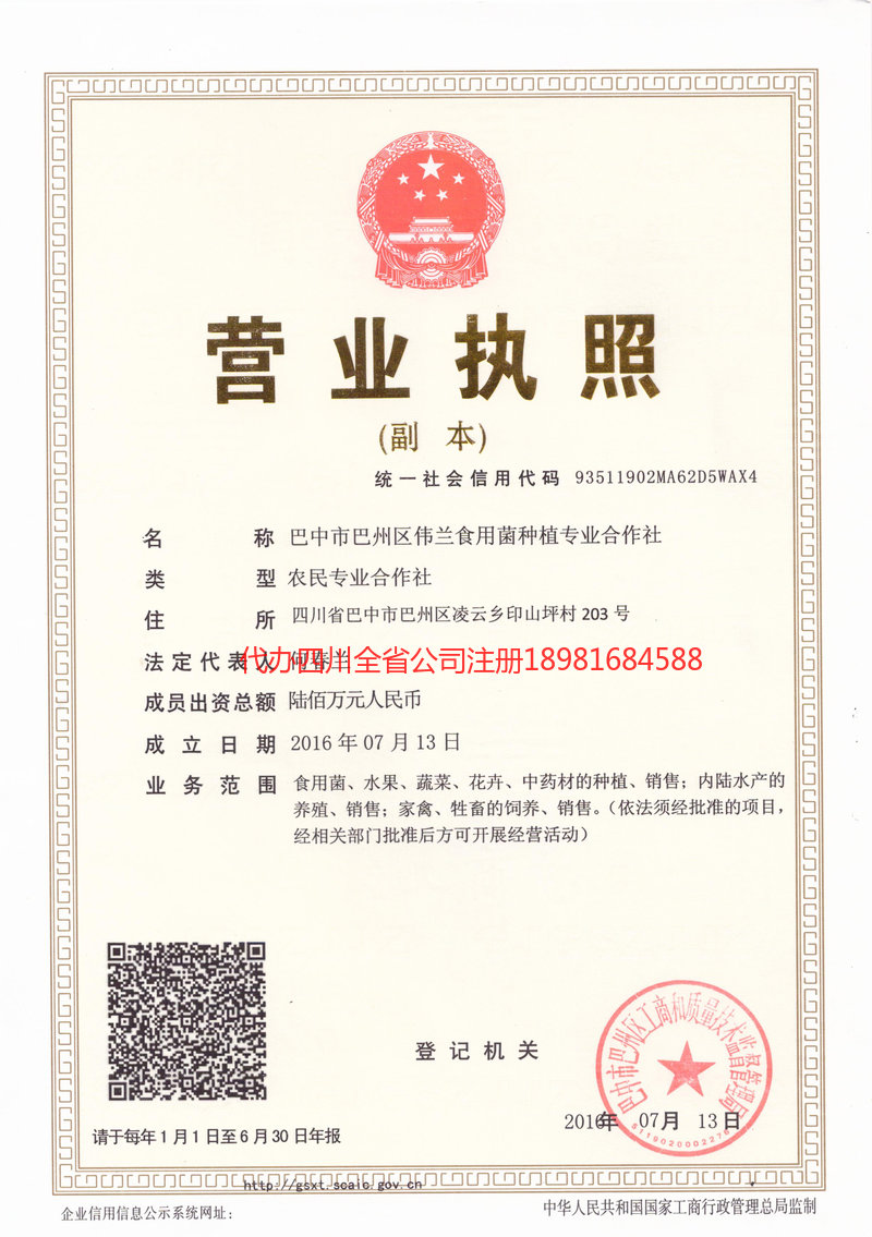 宜城宜城伟兰食用菌种植专业合作社